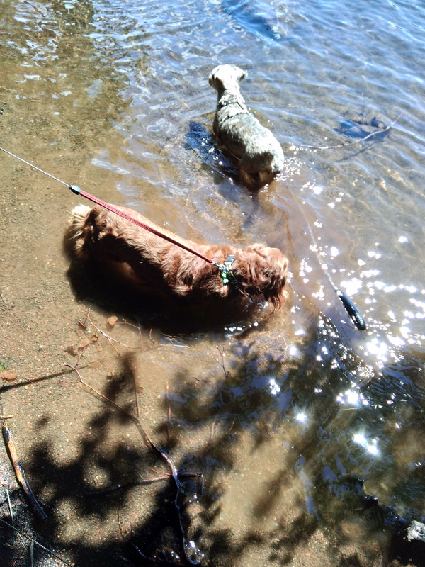 [Image: IMG-20200713-155548.jpg]