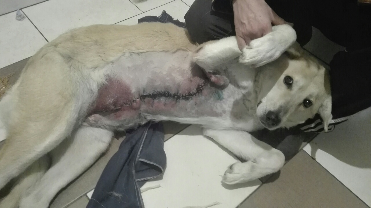 image-0-02-05-672e5a78e62f756dc9fec872b74115dfbf