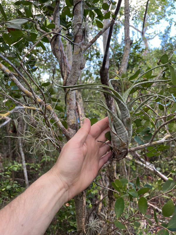 9CCE9519-6C33-40CC-82BB-797FB2BEEB69