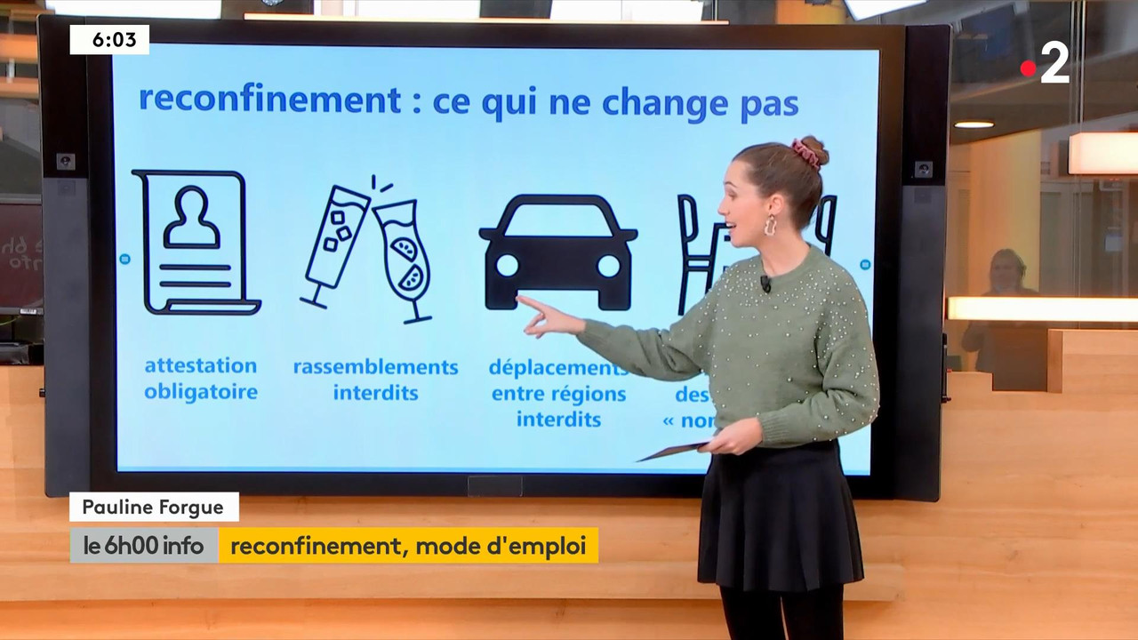 Pauline Forgue 2020-10-29.mp4_snapshot_00.17_[2020.10.29_18.06.35]