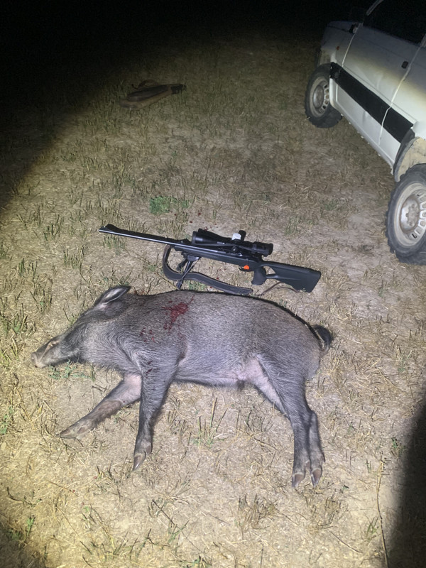 5D96765D-8E9A-4FDC-B411-EC3EB1078874