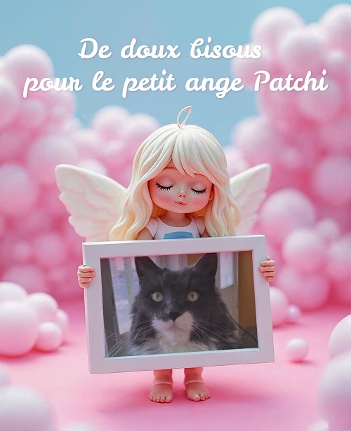 pixiz 02 12 2025 02 50 05