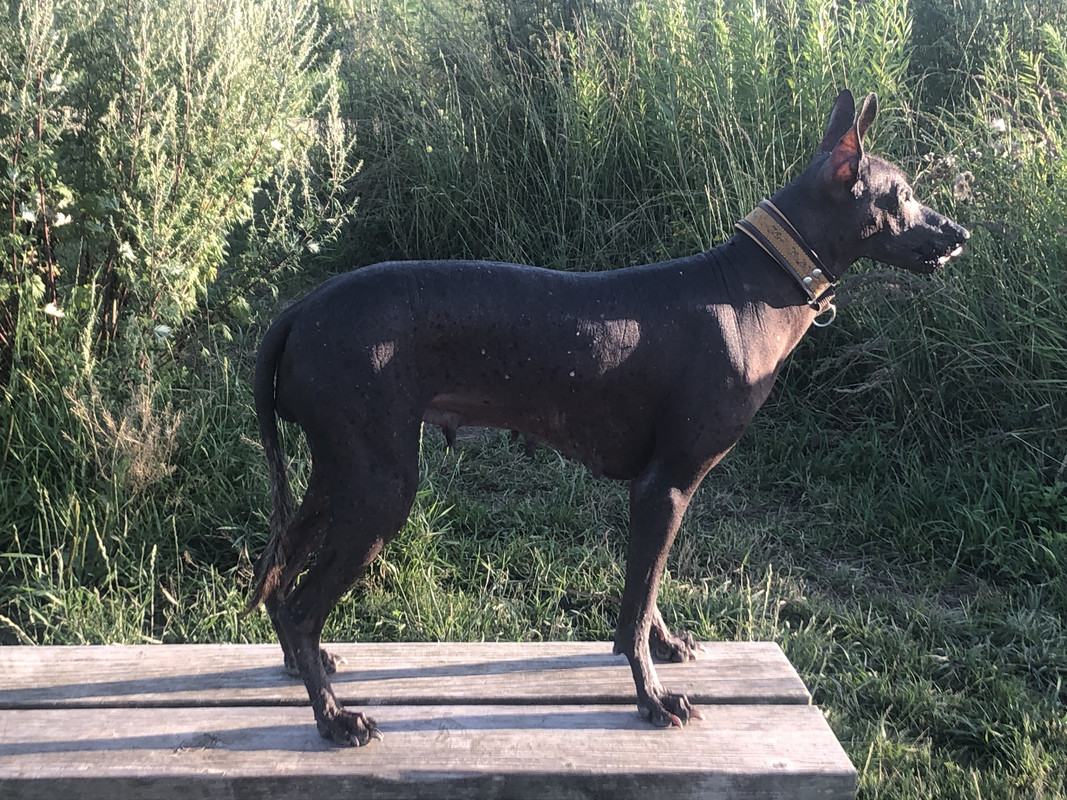 679C5A17-772C-4D61-BDAA-A10E6F75D361