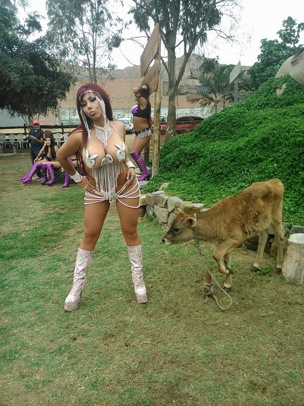 1457739_209728539199912_1195240736_n