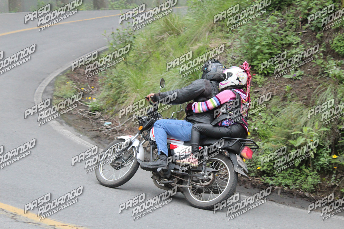 IMG 0039 wm 2359401 5 watermarked — Postimages