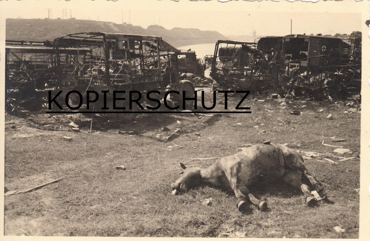 Zerstörte Fahrzeuge Wrack Pferdekadaver vor Dünk