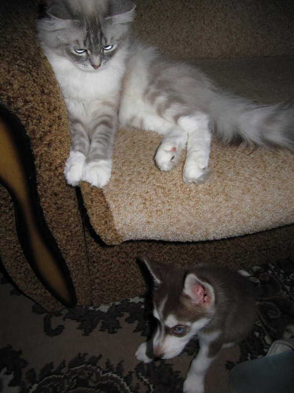 IMG-8556.jpg