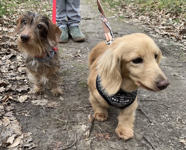 [Image: IMG-7853.jpg]