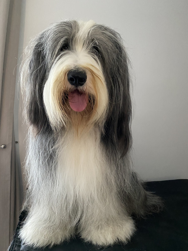 AD813109-4809-442A-9854-0E0742BEC3A5