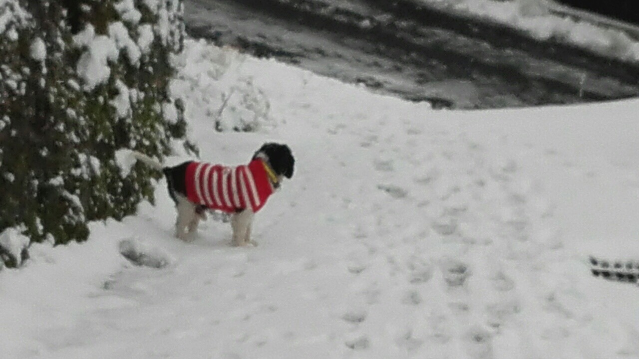 63365742-8DFD-463F-A4AA-B31DB5D76557