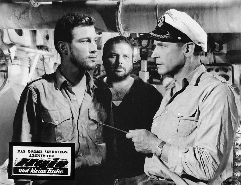 haie-und-kleine-fische