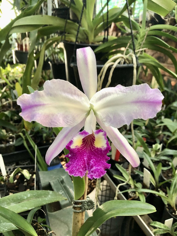 20221206_072404851_iOS