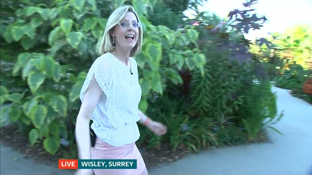 ITV News London_20220810_18001830.ts_snapshot_21.42.455