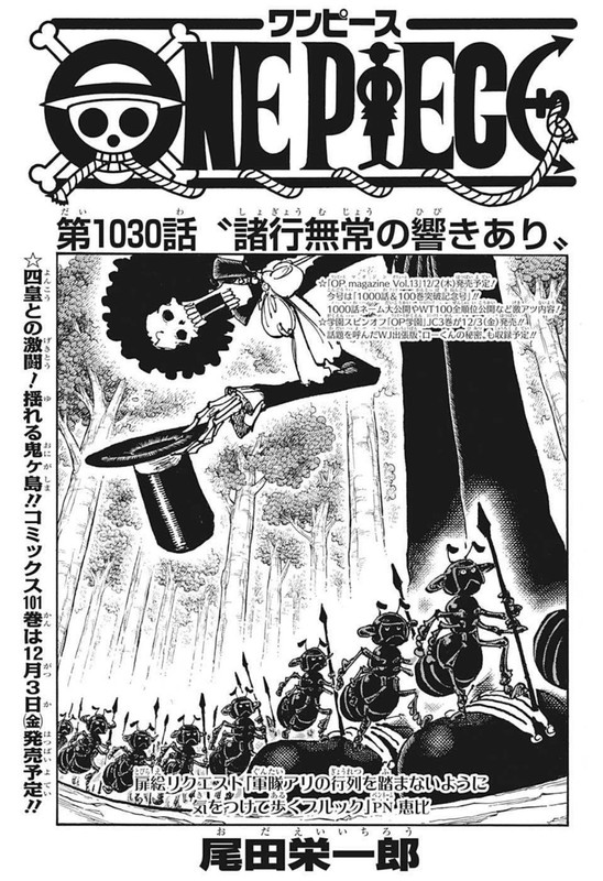 One Piece Chapter 1030 Mikaraw Com