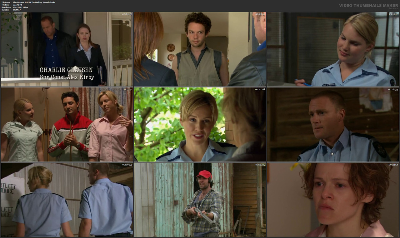 Blue Heelers S12E04 The Walking Wounded.mkv