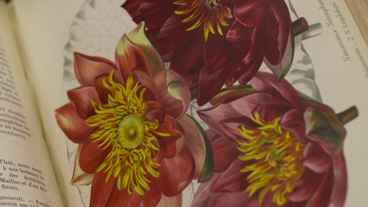 vlcsnap 2026 03 02 17h07m25s755