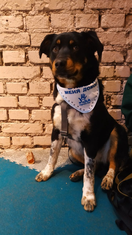 47361A47-8BFD-4990-8461-C92850DACEE2