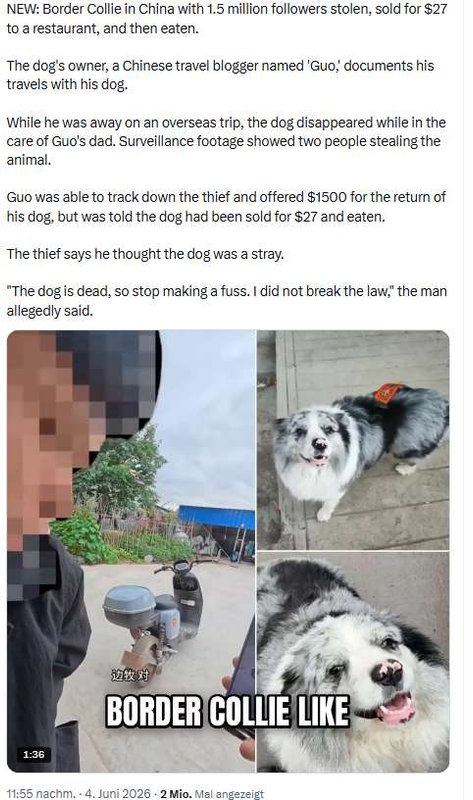 Hundedieb gestellt Hundedieb gestellt