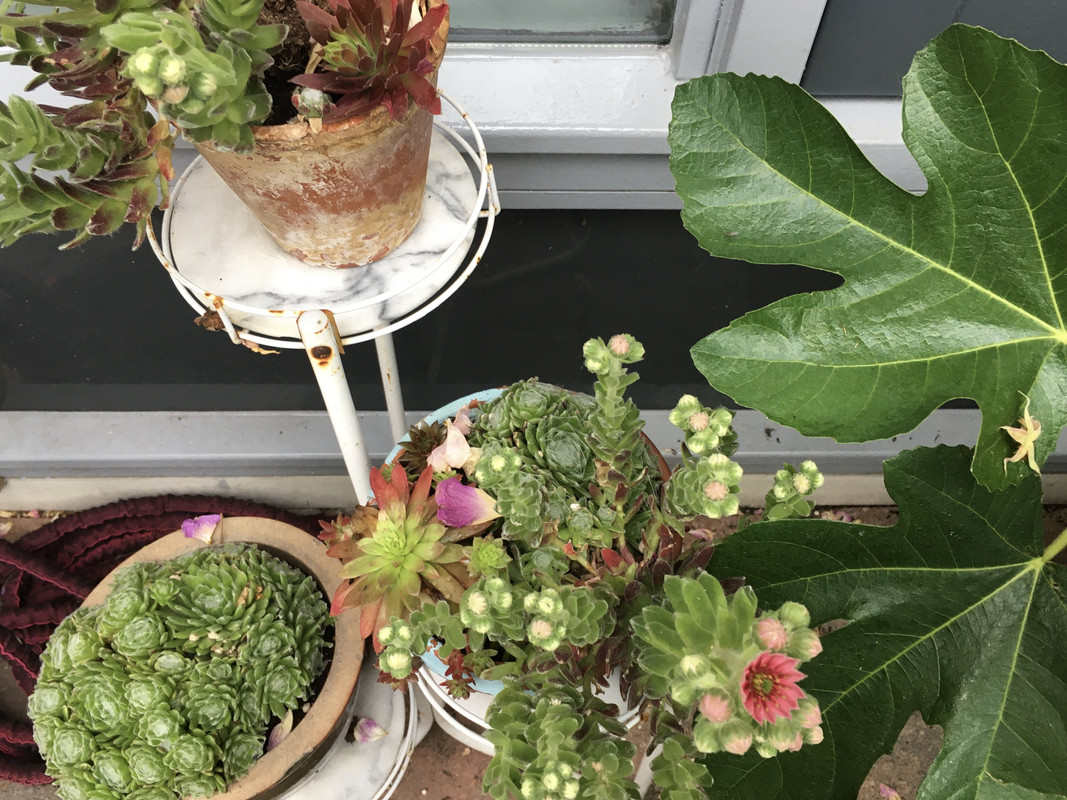 E3F81D5D-3993-4D80-8687-09657941D684