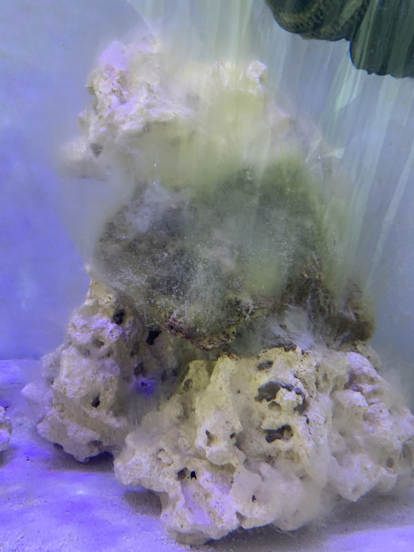 406391C3-1398-4323-9BCE-3979440CD8C0