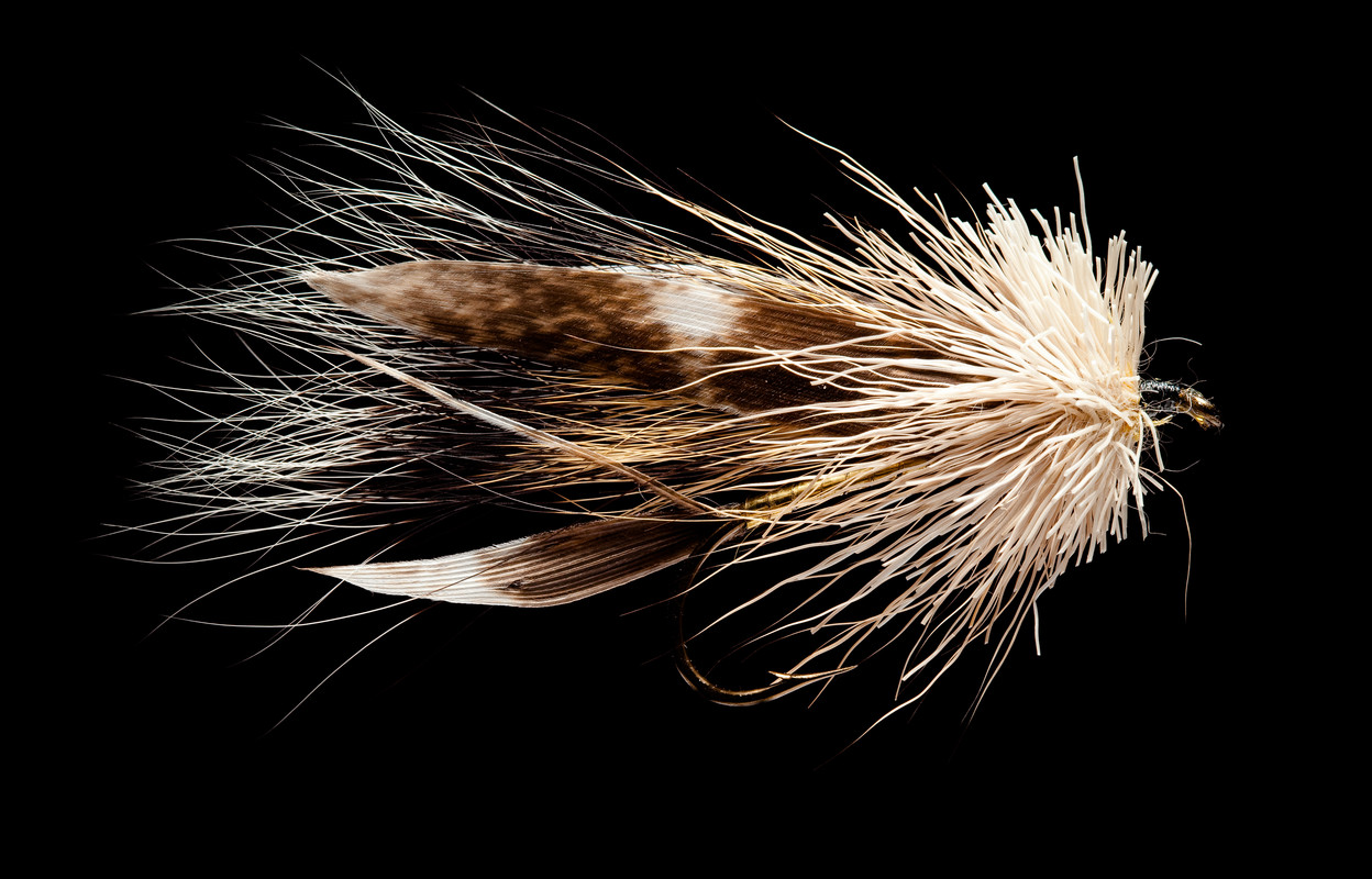 Coastal presentation (25 of 102)