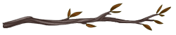 Divider-Branch2.png