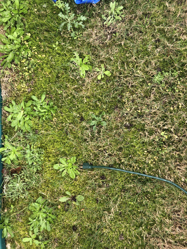 DE2287BE-834D-4BE4-BB08-443314622A9D