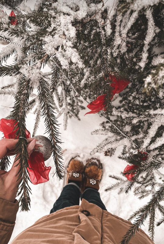 Screenshot_20231124_221403_Pinterest