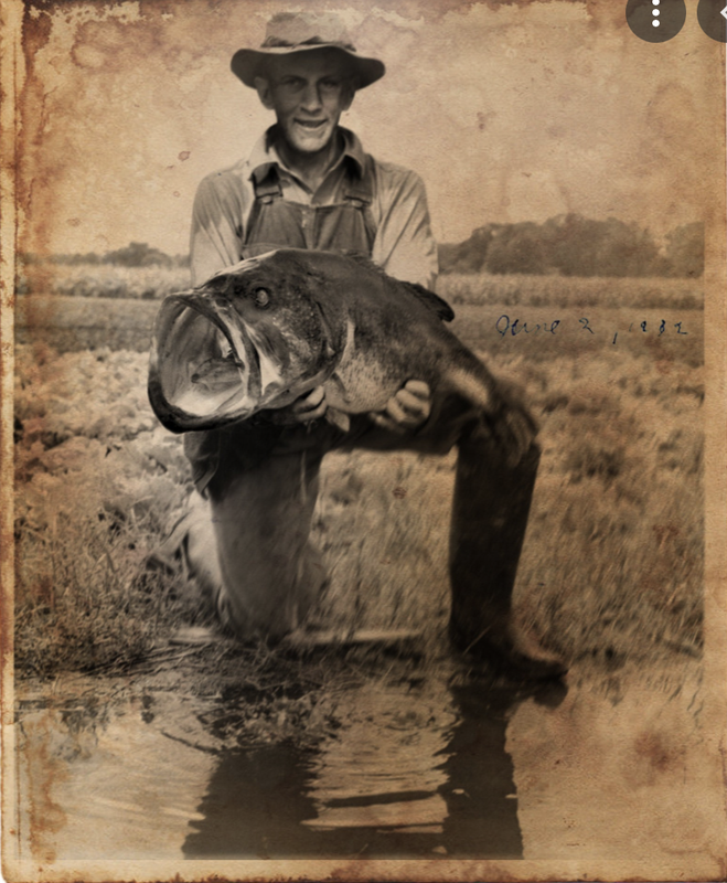 Screen Shot 2021-06-30 at 3.22.03 PM