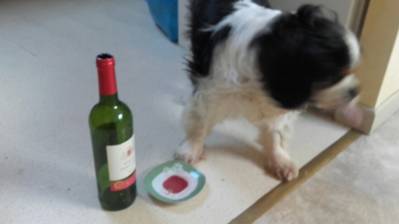 989CBBD6-CEFC-4A35-A852-A39AF19C1970