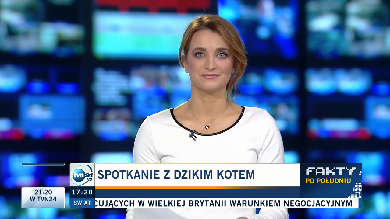 2017-03-14_Dagmara_Kaczmarek_Szalkow_TVN24_014