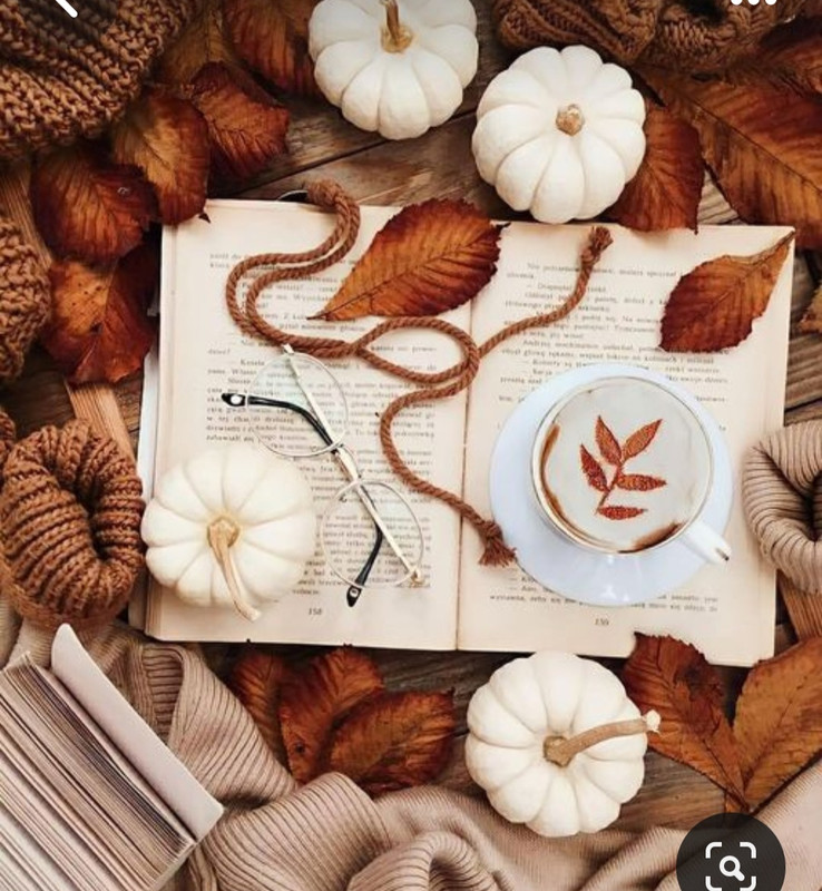 Screenshot_20230909_010022_Pinterest