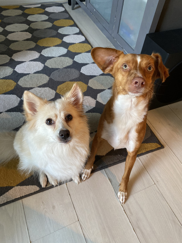 C65CC326-8A93-4614-8428-EBA8902190FB