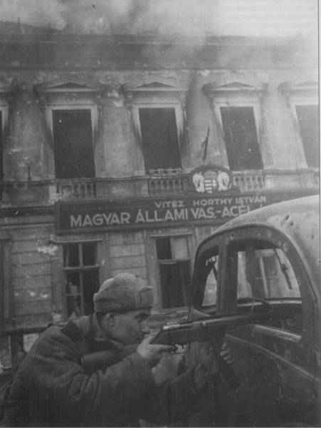 -_imagesia-com_d2um_large