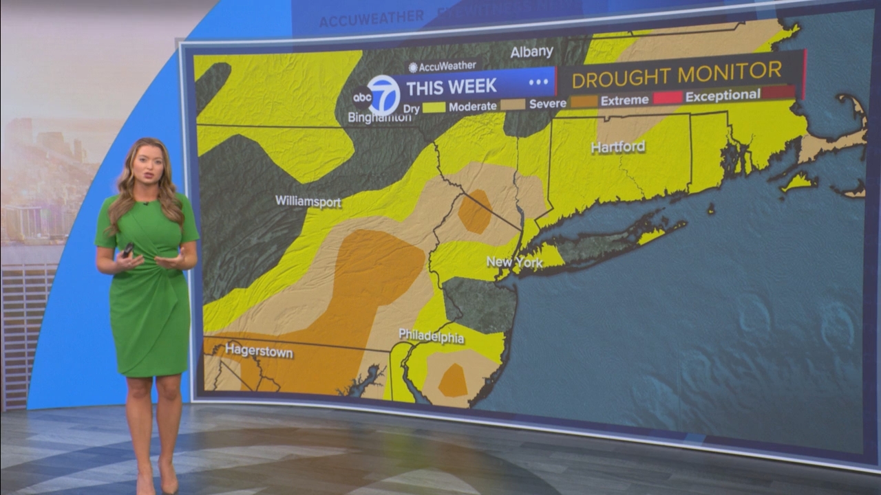 Eyewitness News This Morning_20250503_14001500.ts_snapshot_53.55.338