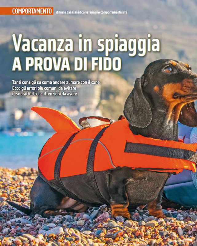 QuattroZampe Lug 2024 (11)