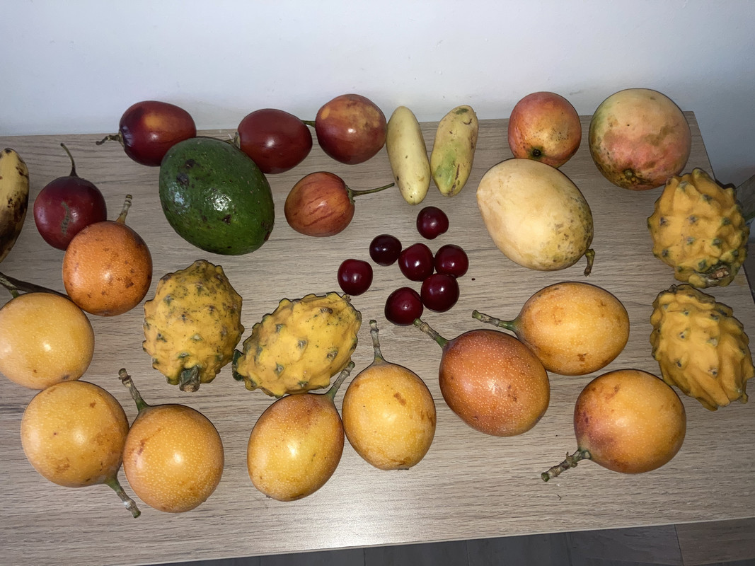 A80BD50D-32C7-48DD-95CE-3E6DBAE6AD8E