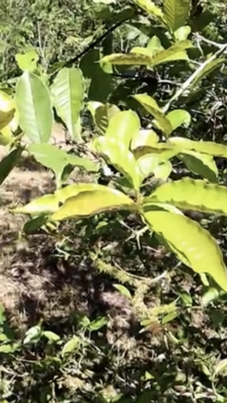 512DFBC8-348C-42FD-98DA-4A886383C739