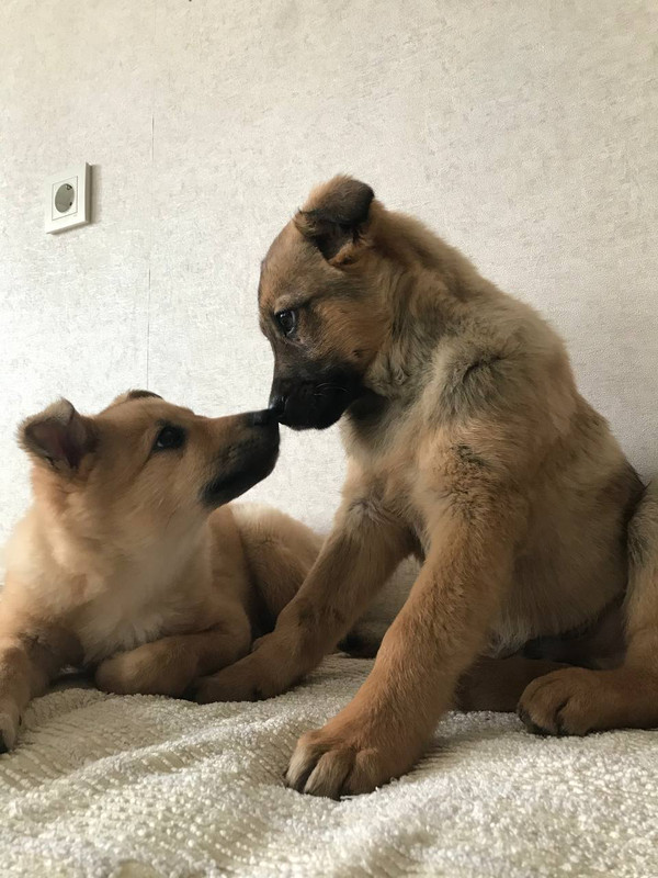 11792FD3-4E27-419F-988A-3353C8AF4E86