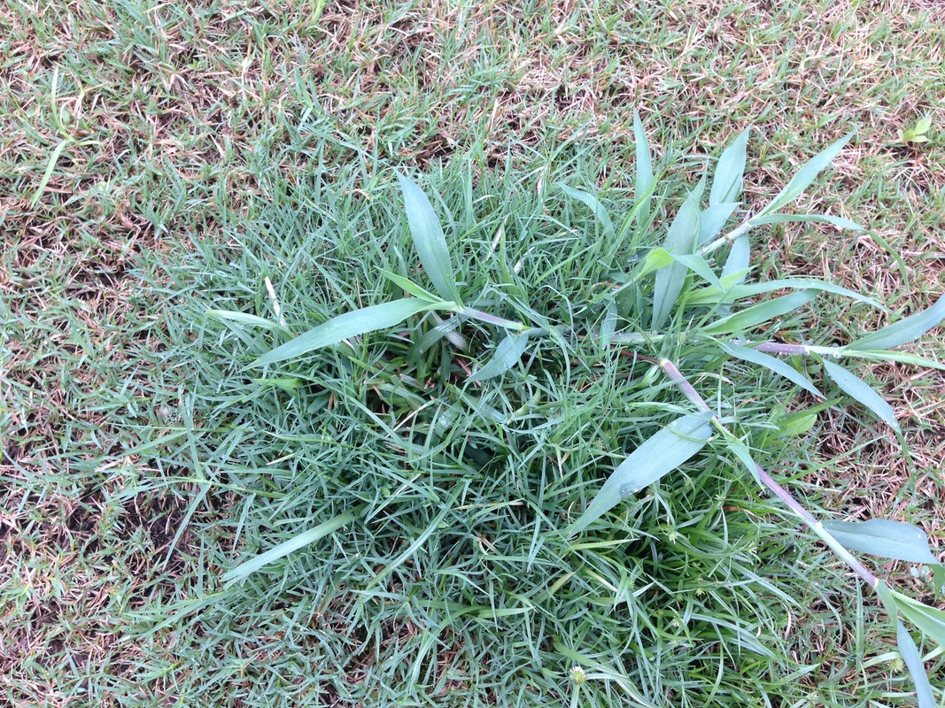 14485676541_9aafa658ac_o