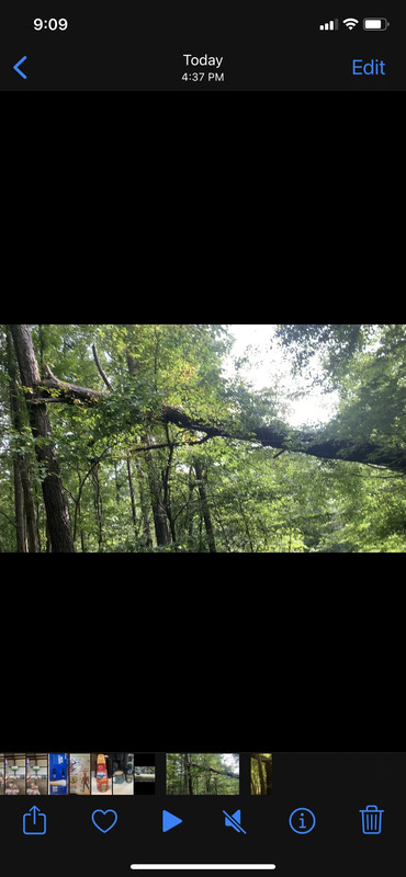 BF7D7F27-5EE9-411A-BFA6-4BDB45CD8A1A