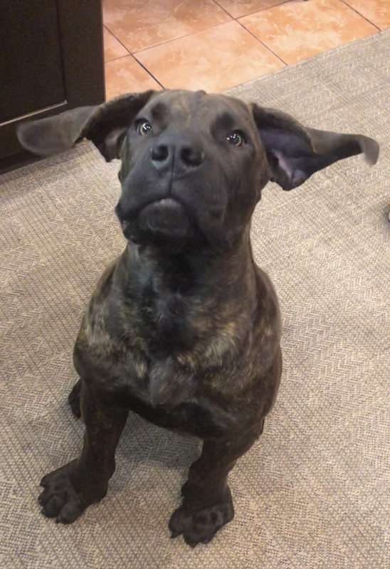 C2E63BBD-0F05-4FE4-A9E6-6DD00956FDA2