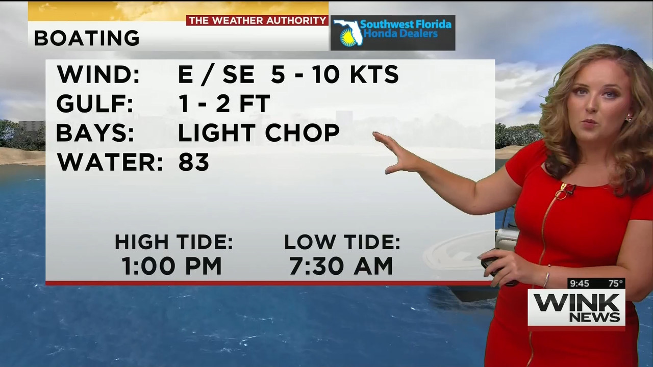 23 May - 14.00.00 - WINK News @ 9 00AM..ts_snapshot_00.49.39_[2020.05.23_17.14.22]