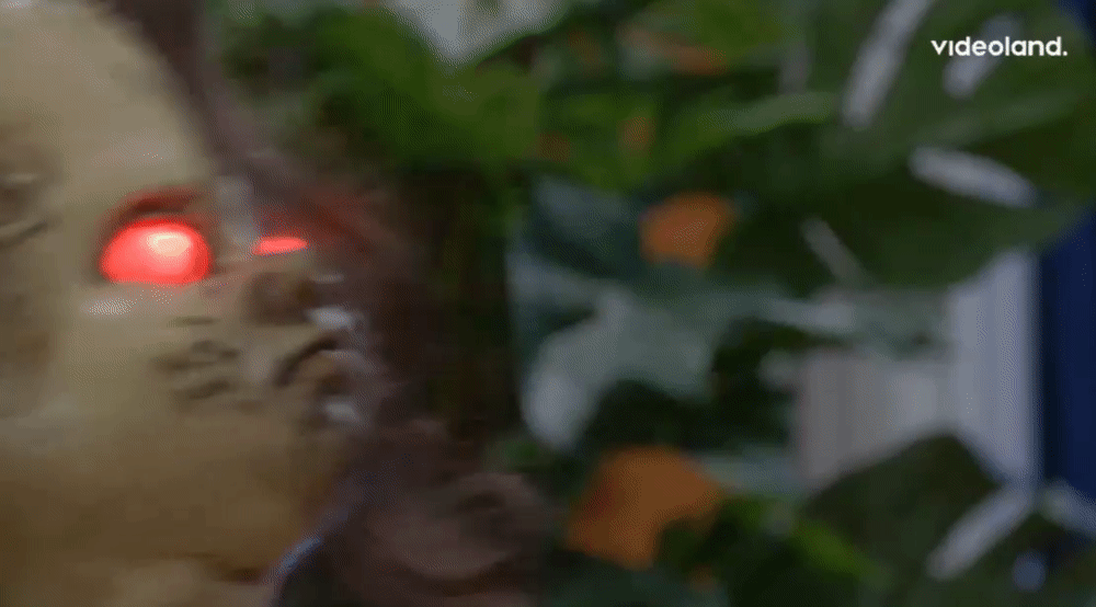 halo.gif