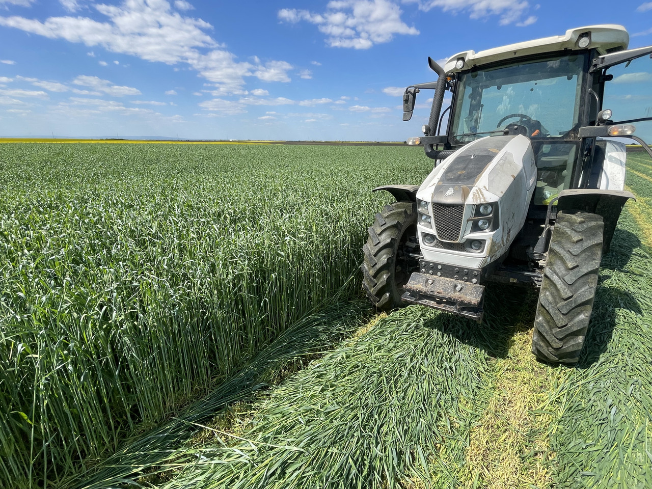 B09F27A8 305A 4069 8319 AAFA0511DA31