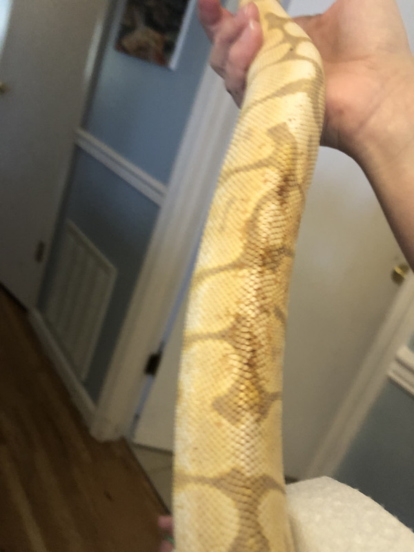 9D1E000B-CAB2-4542-8E30-9A2D35247A25