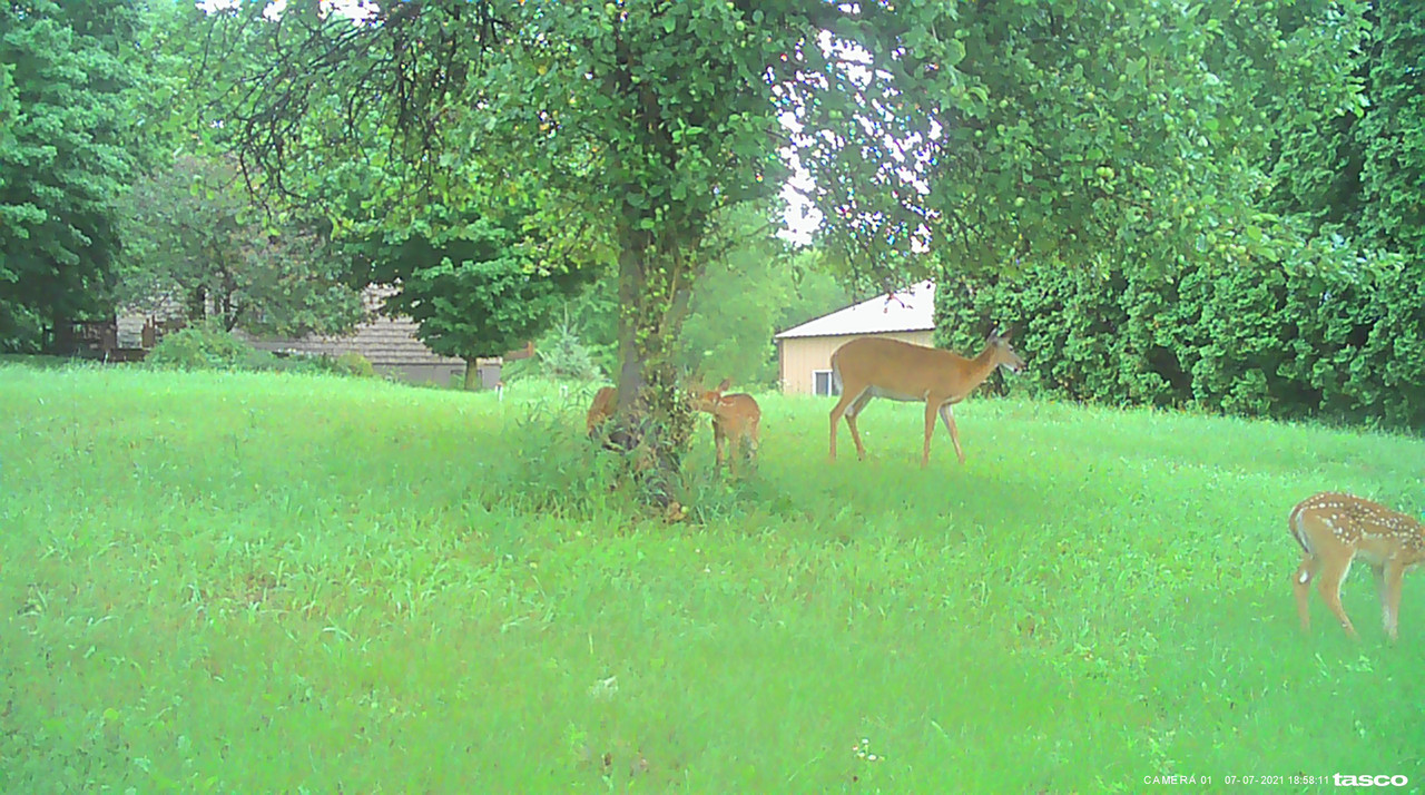 BB222325-6003-4C3D-A549-D8CCCD485D56