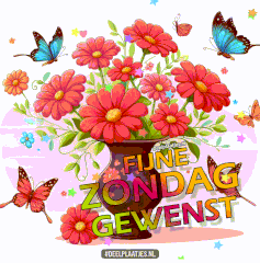 fijne-zondag-gewenst-401581-jpg