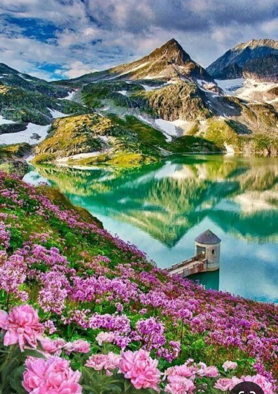 Screenshot_20231017_222329_Pinterest