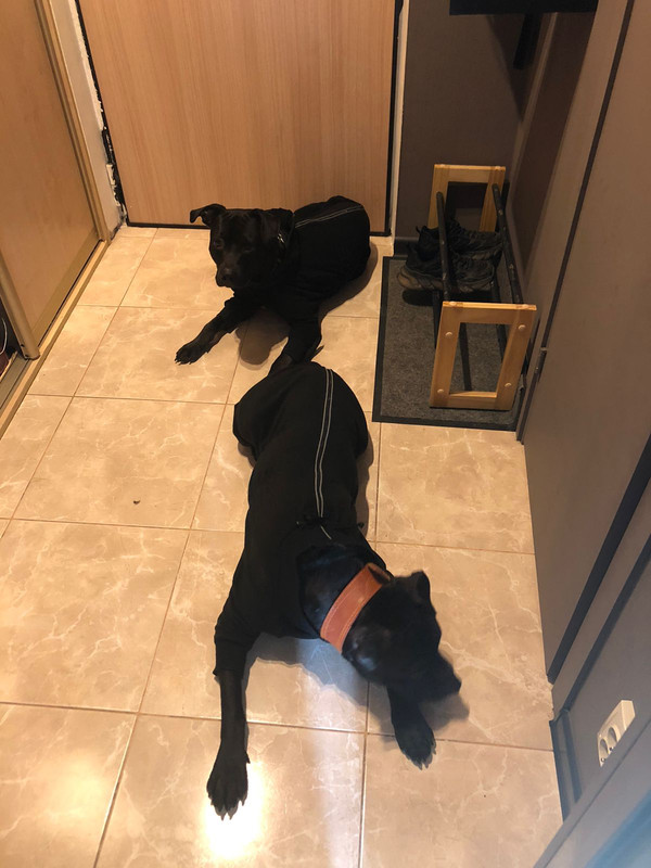 3C7AEA8C-8CAB-43C4-803F-A7D09DA2DCE9